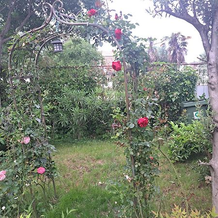 Apartmani Donna Porec Esterno foto