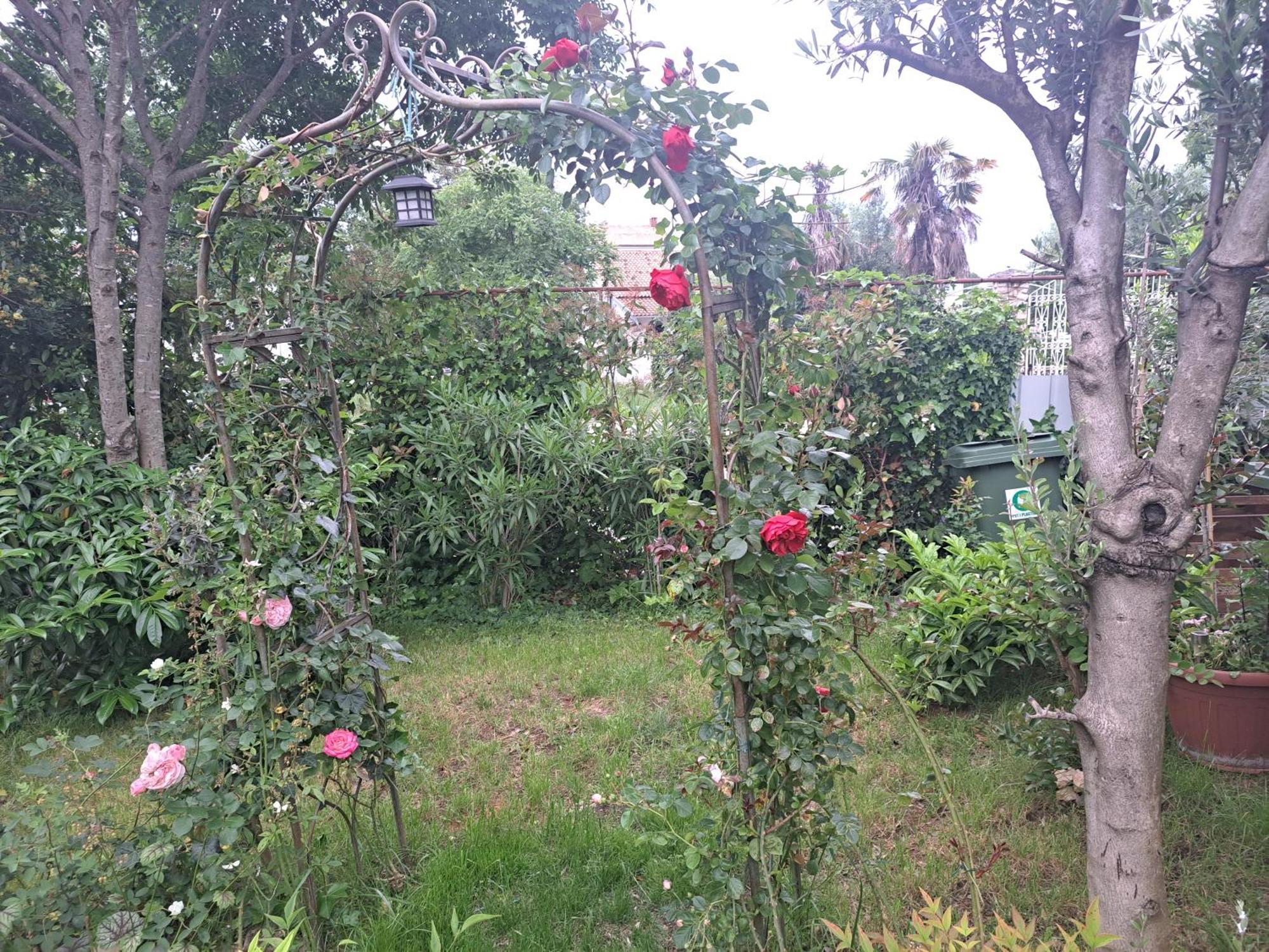 Apartmani Donna Porec Esterno foto
