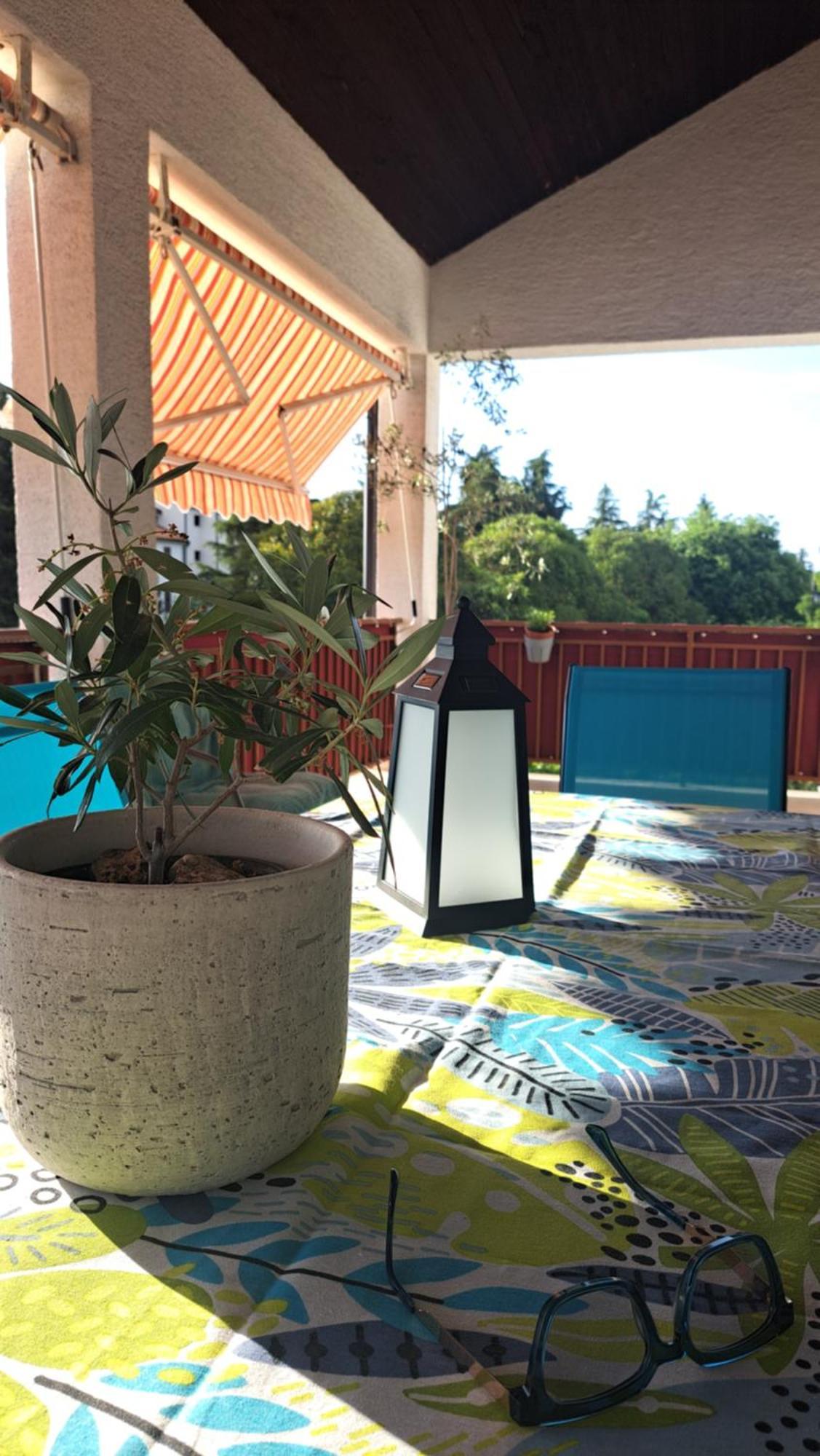 Apartmani Donna Porec Esterno foto