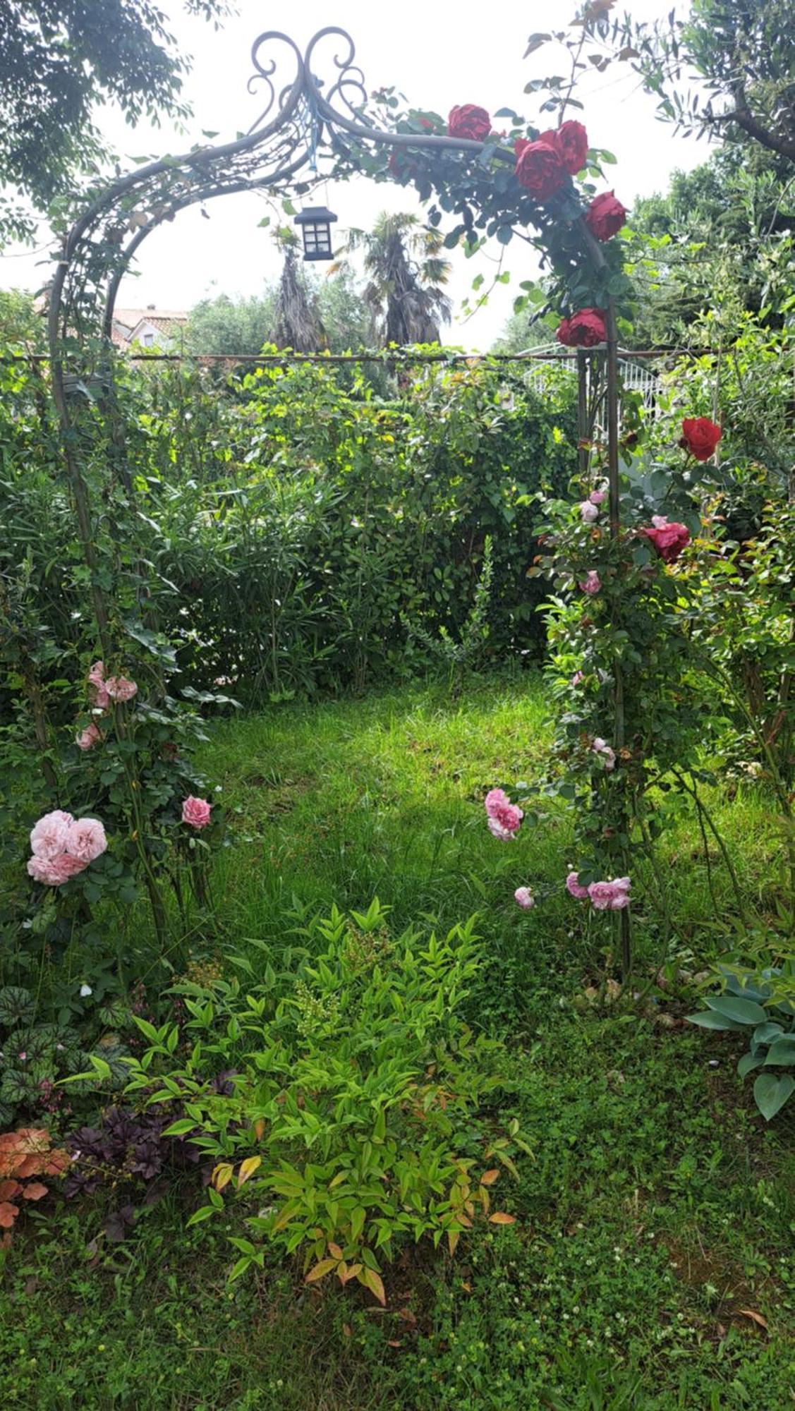 Apartmani Donna Porec Esterno foto