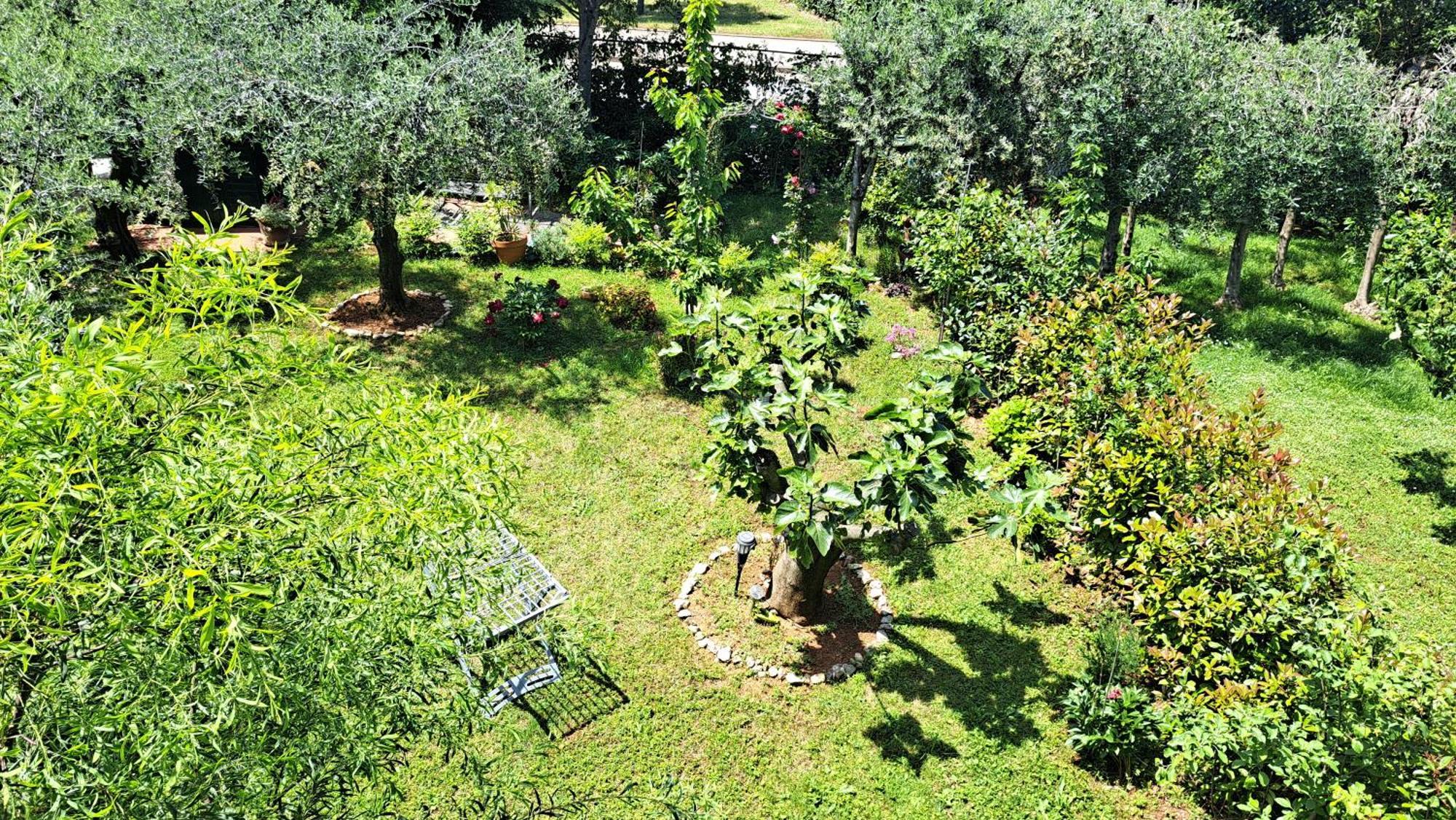 Apartmani Donna Porec Esterno foto