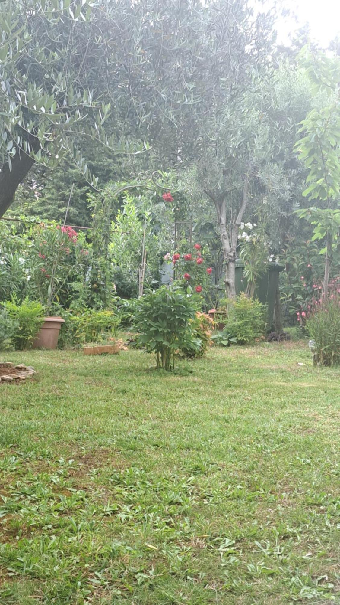 Apartmani Donna Porec Esterno foto