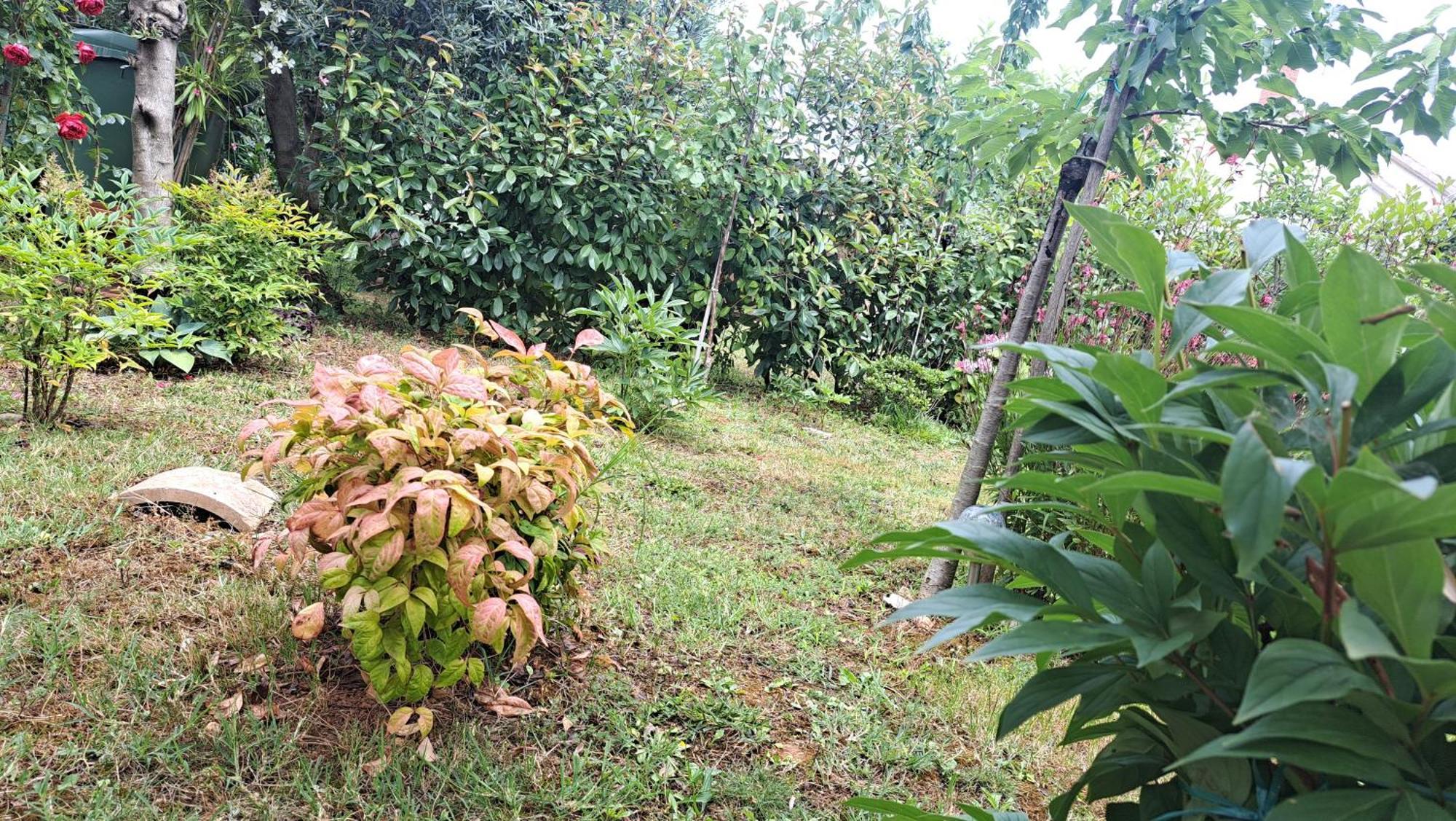 Apartmani Donna Porec Esterno foto