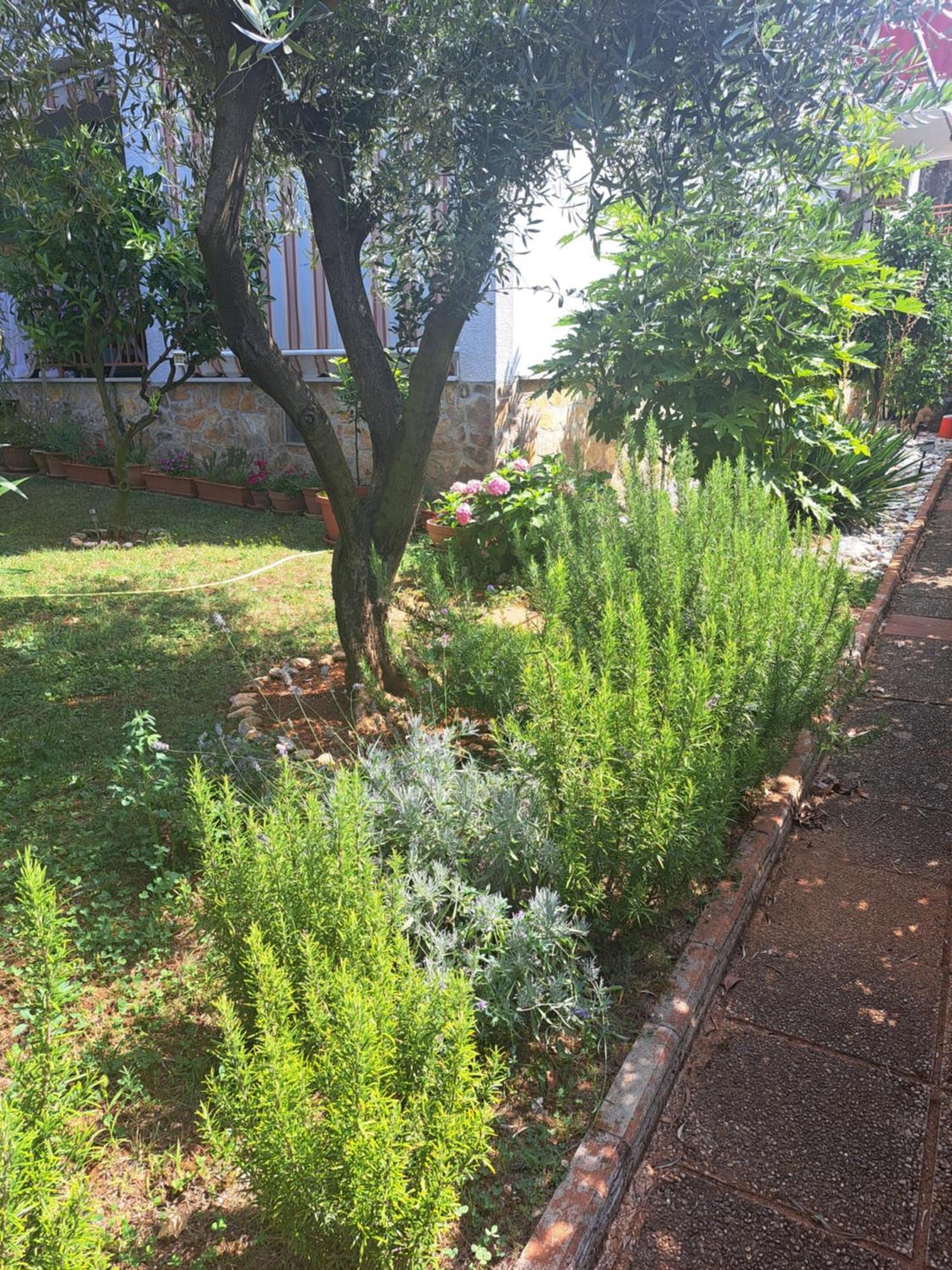 Apartmani Donna Porec Esterno foto