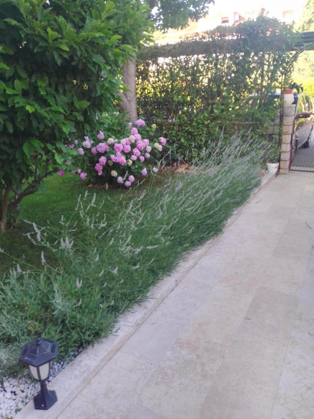 Apartmani Donna Porec Esterno foto