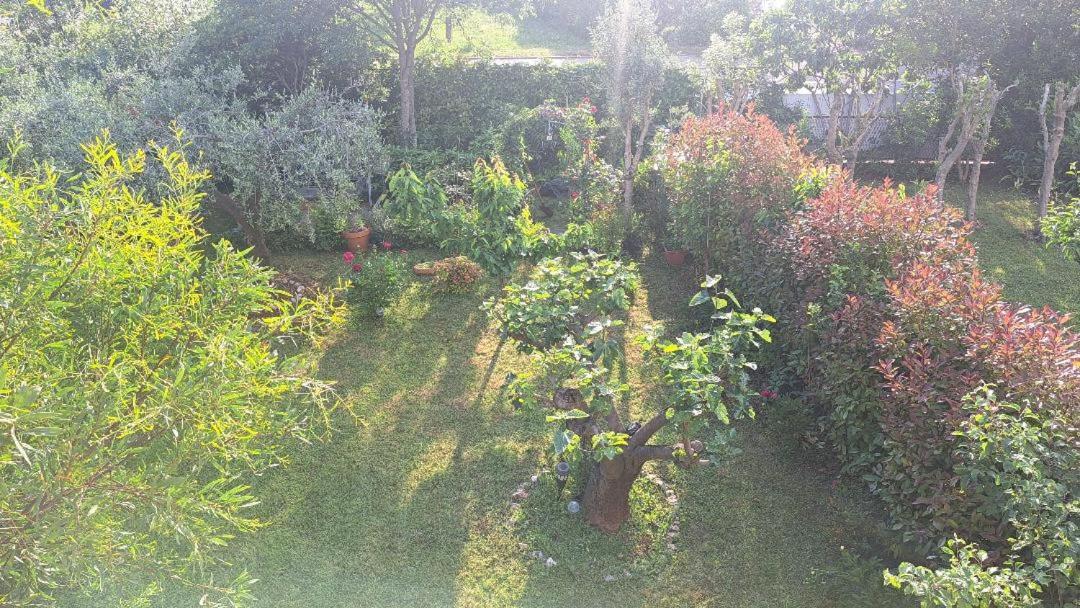 Apartmani Donna Porec Esterno foto